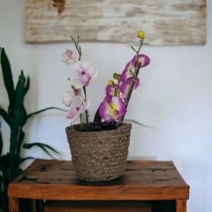 T.Concept Dekoratif Yuvarlak Çok Amaçlı Rattan Sepet Orta Boy