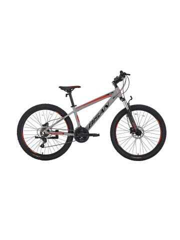 Bisan Cooper 27.5 Jant H.Disk 37CM Dağ Bisikleti Gri Siyah Kırmız