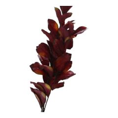 T.Concept Sonbahar Yaprak Demeti Kahve A49101-06