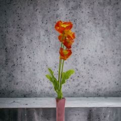 T.Concept Gelincik Çiçeği Kırmızı