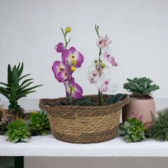 T. Concept Dekoratif Rattan Hasır Çiçek Sepeti, Çok Amaçlı Düzenleme, Saklama Küçük Boy