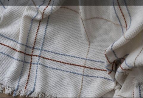Apricitas Home Çiftt Kişilik Pike Fern Blush