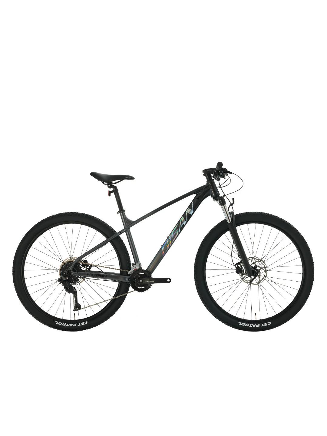 Bisan Bold 9.2 29 Jant 48K Dağ Bisikleti Siyah Gri