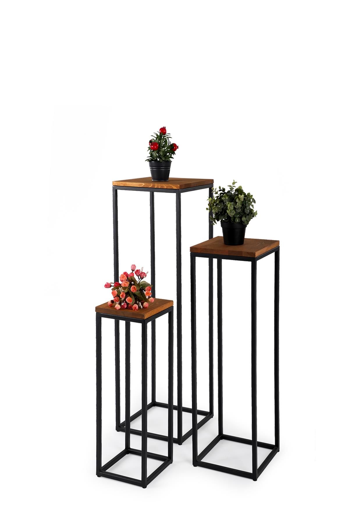 T.Concept Florawood 3’lü Doğal Ahşap Raf Çiçeklik