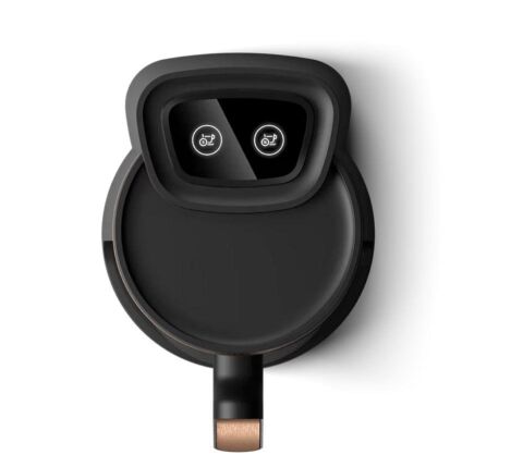 Philips 5000 Serisi Türk Kahve Makinesi HDA 150/60 Gold