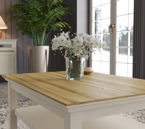 Misto Orta Sehpa 100*70*44 FRN-21024 ( ANTALYA MERKEZ İÇİN TESLİMAT )