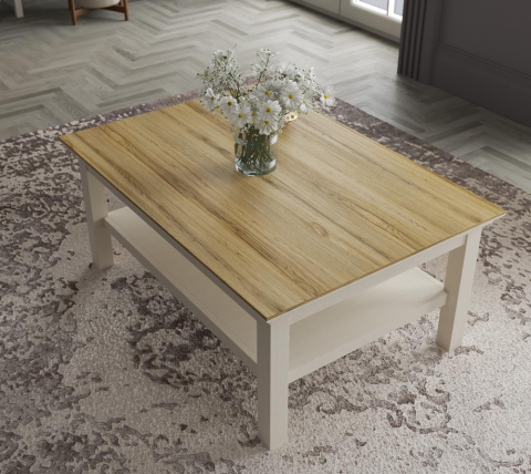 Misto Orta Sehpa 100*70*44 FRN-21024 ( ANTALYA MERKEZ İÇİN TESLİMAT )
