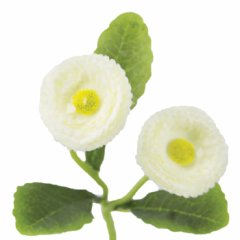 Tmall Home Design White Minik Demet Yapay Çiçek 23cm -401759