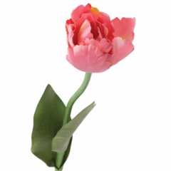 Tmall Home Design Dallı Pembe Lale (Yapay Çiçek) 62cm - 49566