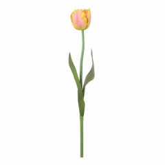 Tmall Home Design Peach Lale Dallı (Yapay Çiçek) 62cm- 401747
