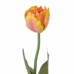 Tmall Home Design Peach Lale Dallı (Yapay Çiçek) 62cm- 401747