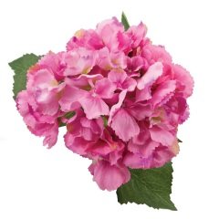 Tmall Home Design Pembe Ortanca (Yapay Çiçek) 52 cm