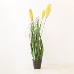 Tmall Home Design Yeşil Hasır Otu Saksılı 85 cm (YAPAY ÇİÇEK)