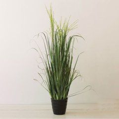 Tmall Home Design Yeşil Hasır Otu Saksılı  85 Cm (YAPAY ÇİÇEK)