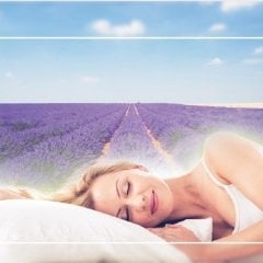 T.Concept Lavanta Kokulu (Keseli) Microgel Yastık